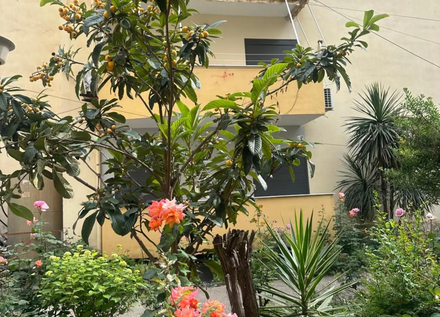 Apartament Golem Beach House